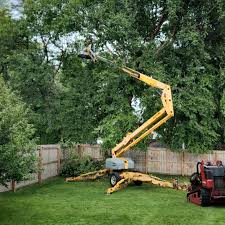 Best Tree Preservation Services  in Canton, GA